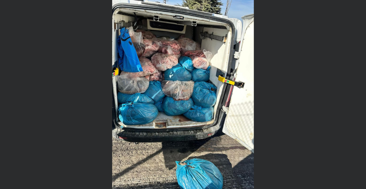 Tekirdağ'da Minibüste Ele Geçirilen 2 Ton Sakatat İmha Edildi